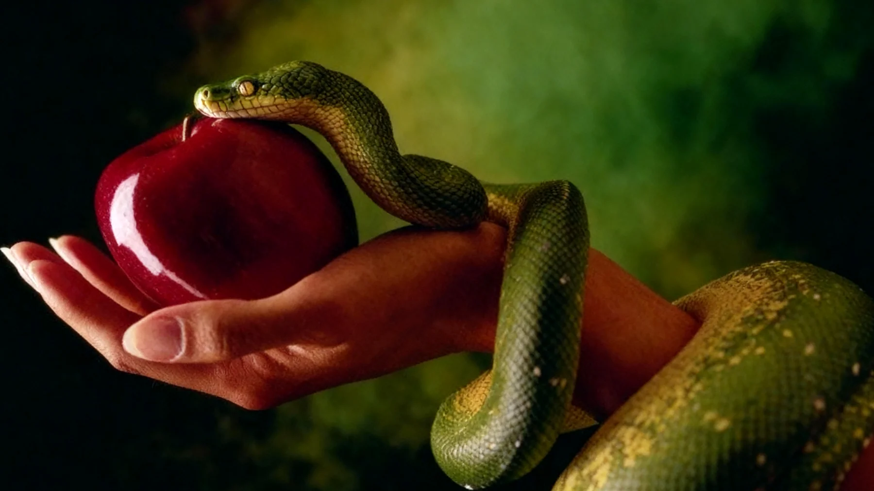 Forbidden Fruit2025-12-16T09:08:58.371Z"