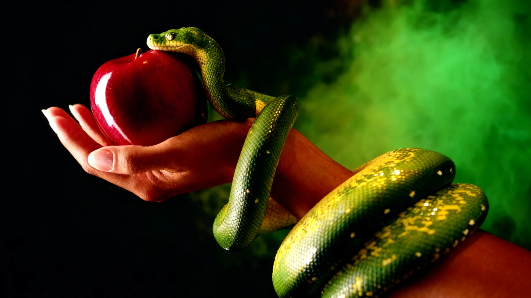 Forbidden Fruit2025-12-29T12:54:36.041Z"