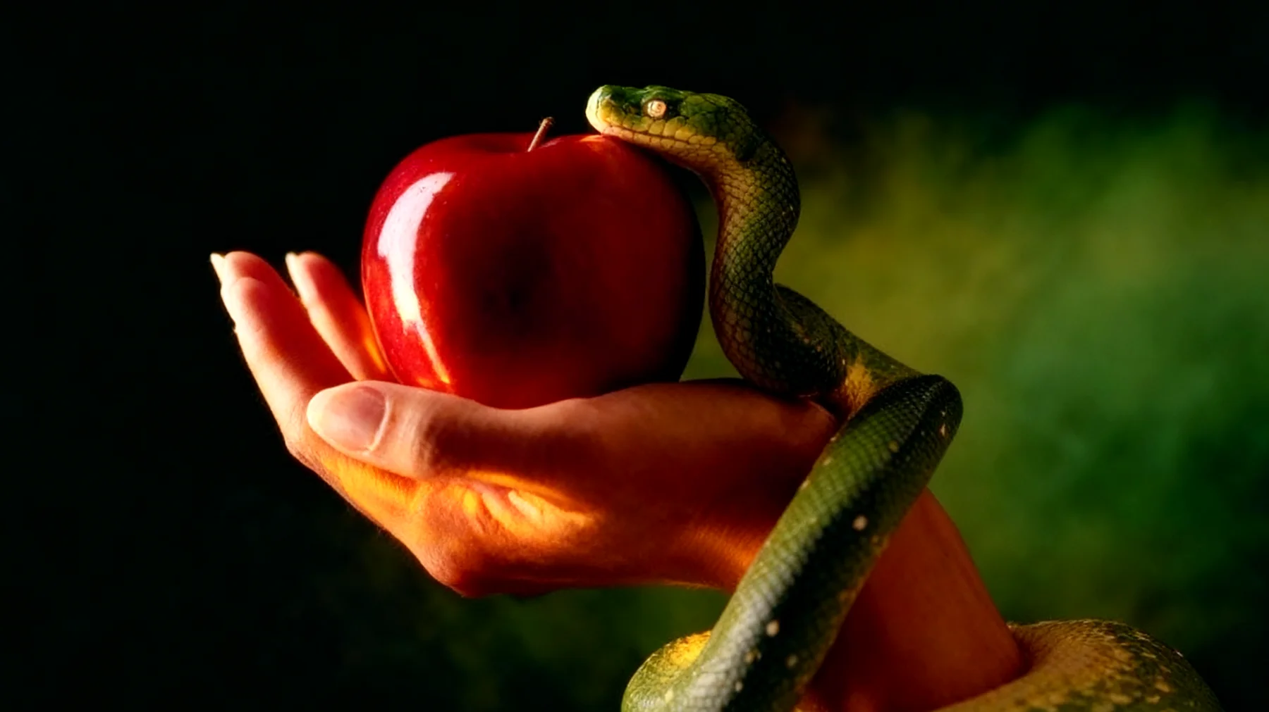 Forbidden Fruit2025-12-30T12:44:57.318Z"