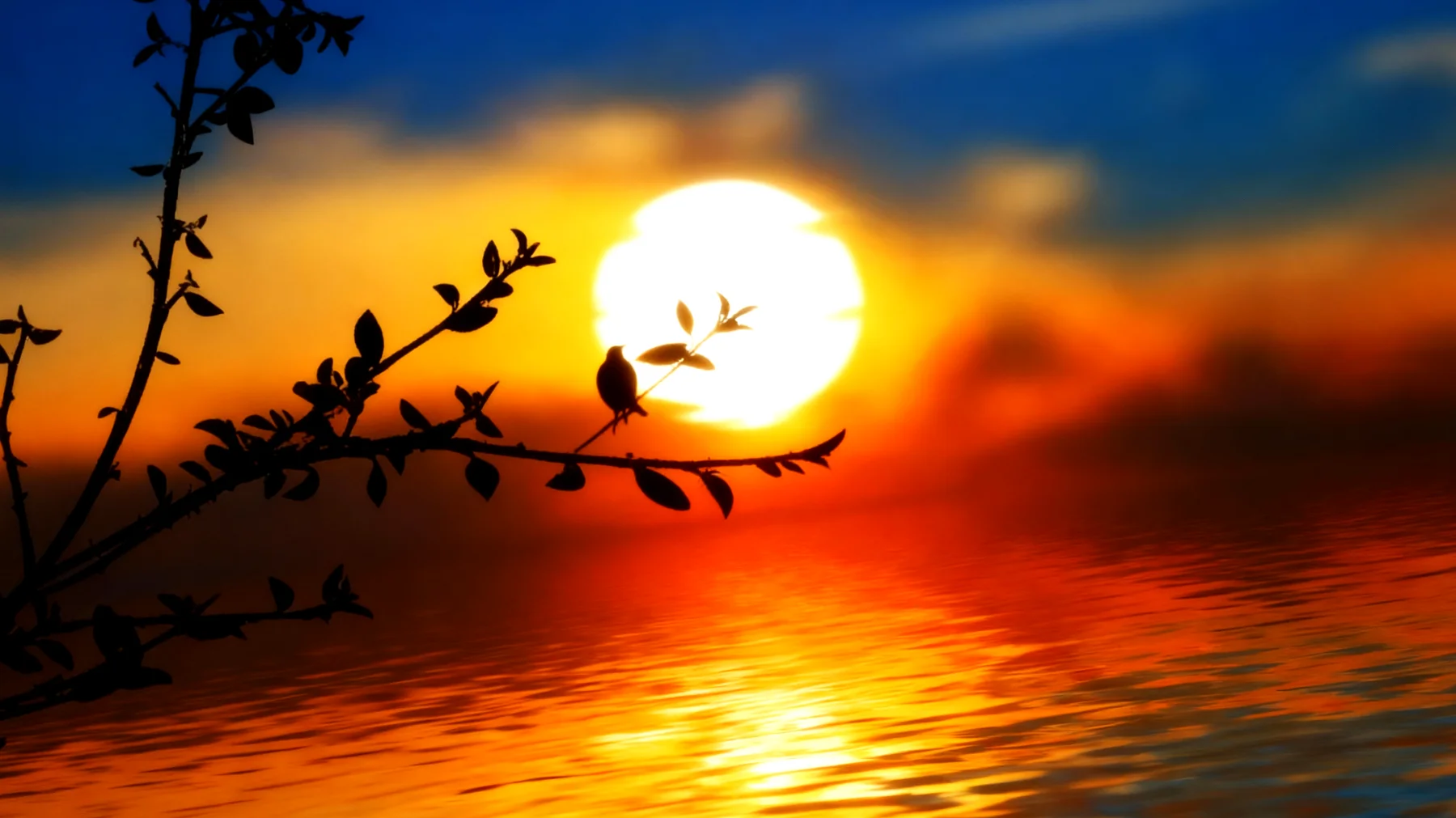 Beautiful 2026-01-04T12:33:13.805Z"