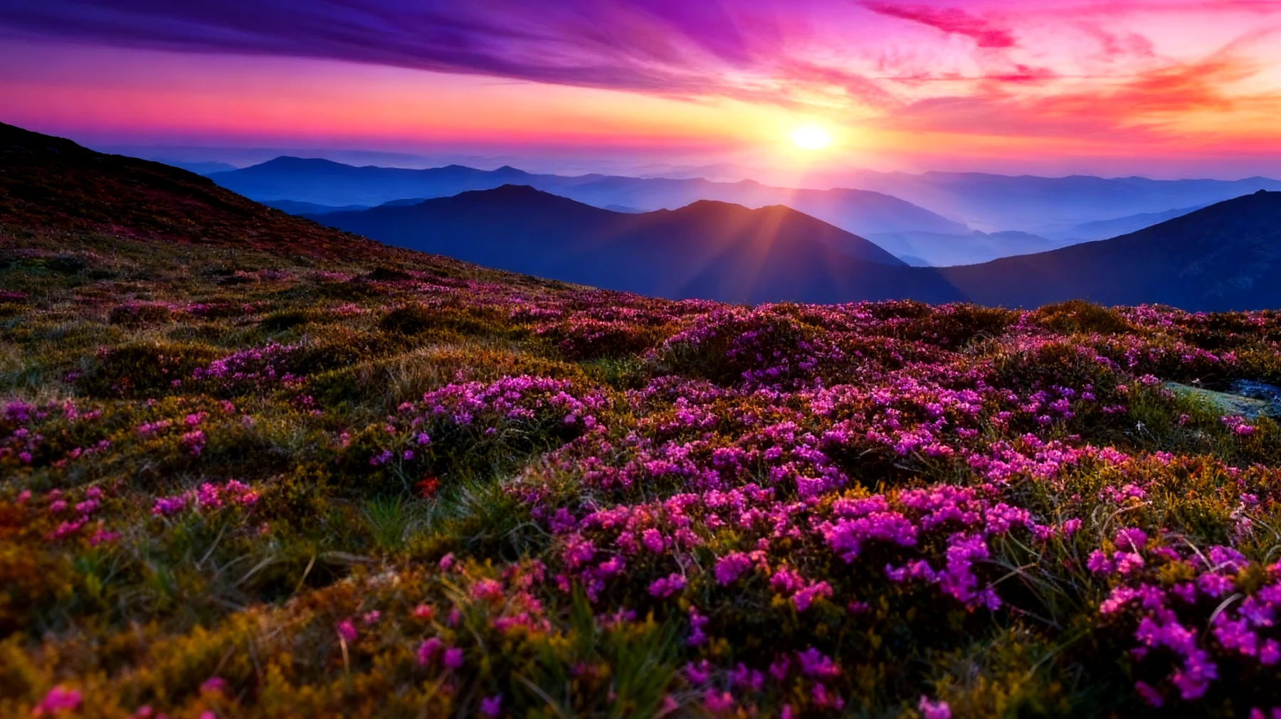 Beautiful 2026-01-14T12:34:17.557Z"