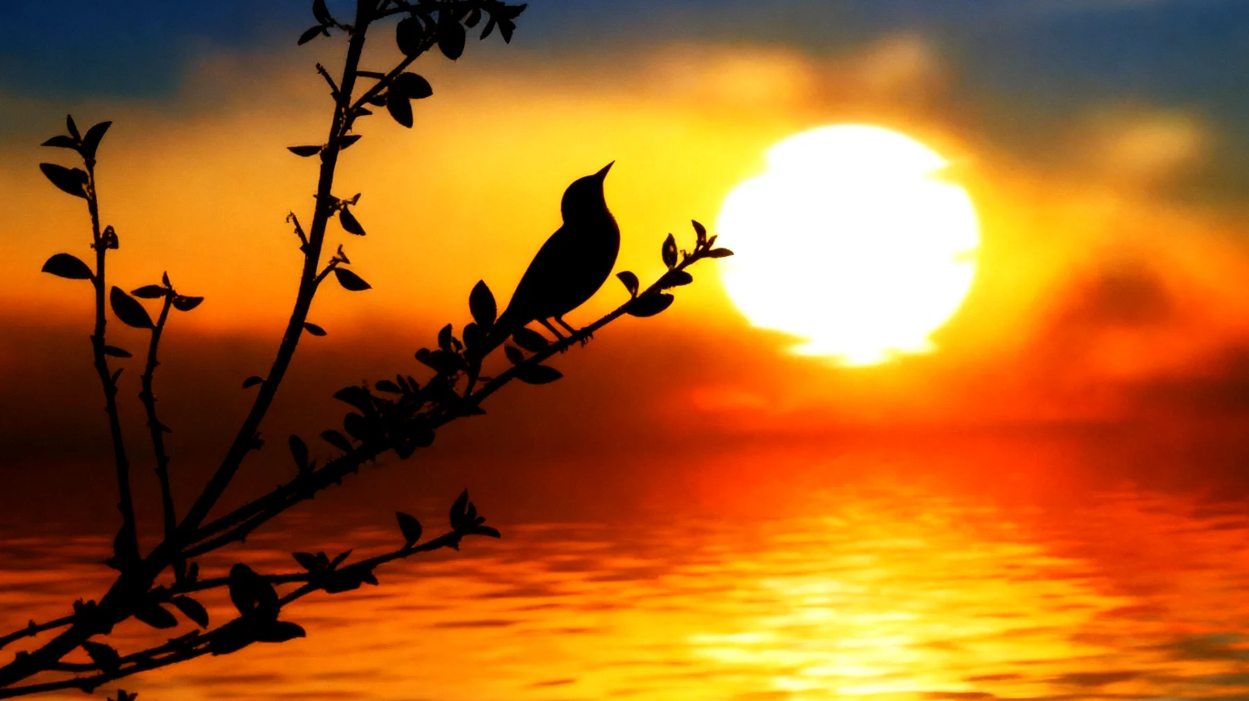 Beautiful 2026-01-25T10:32:16.209Z"