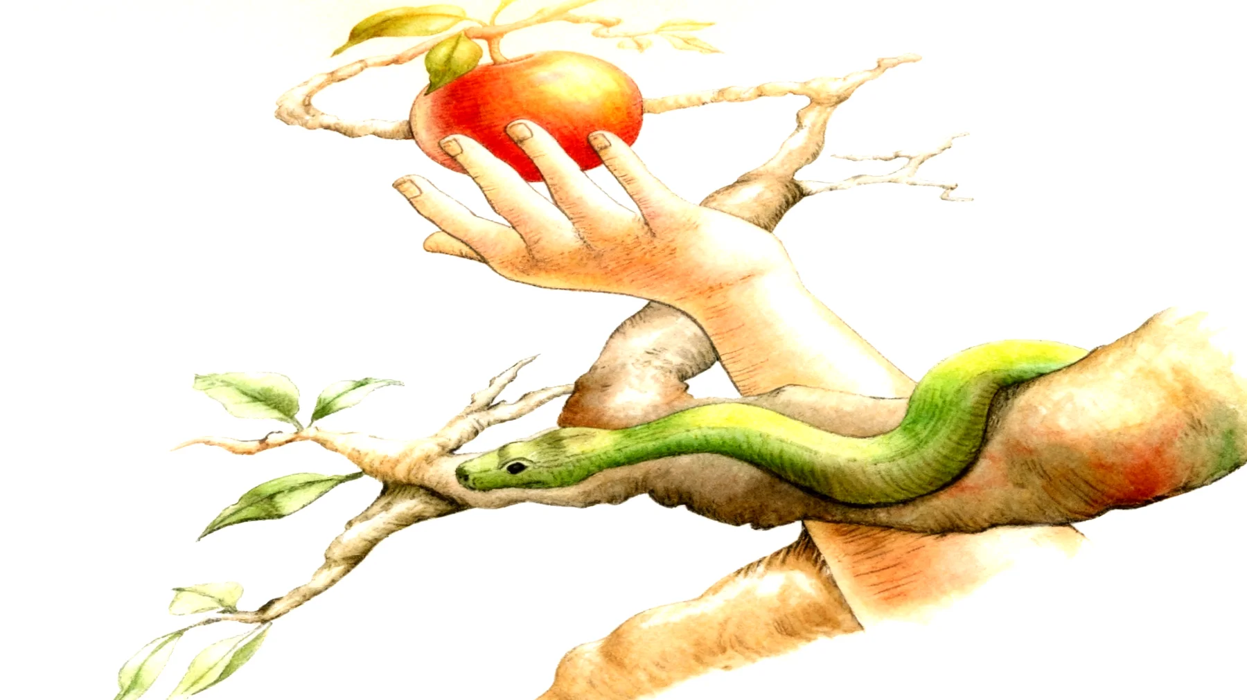 Forbidden Fruit2026-01-01T12:54:01.847Z"