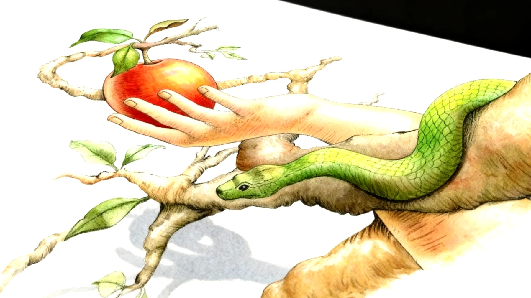 Forbidden Fruit2026-01-02T12:49:51.646Z"