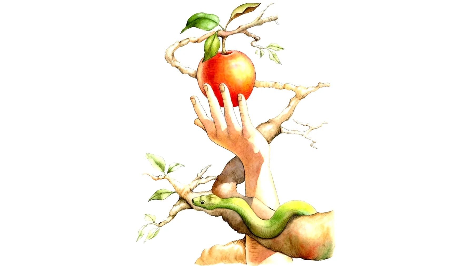 Forbidden Fruit2026-01-03T12:54:24.652Z"