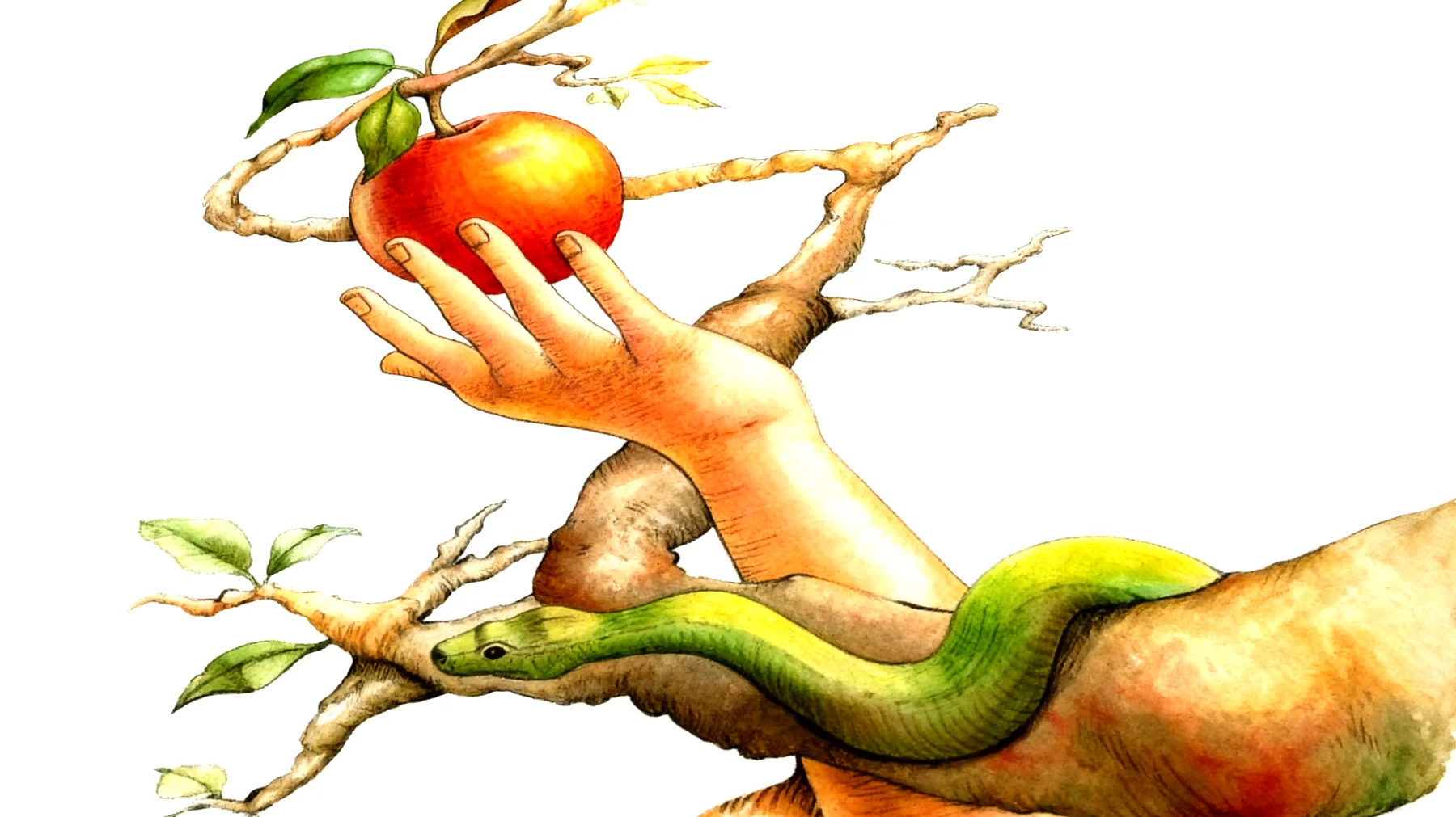 Forbidden Fruit2026-01-04T13:00:45.869Z"