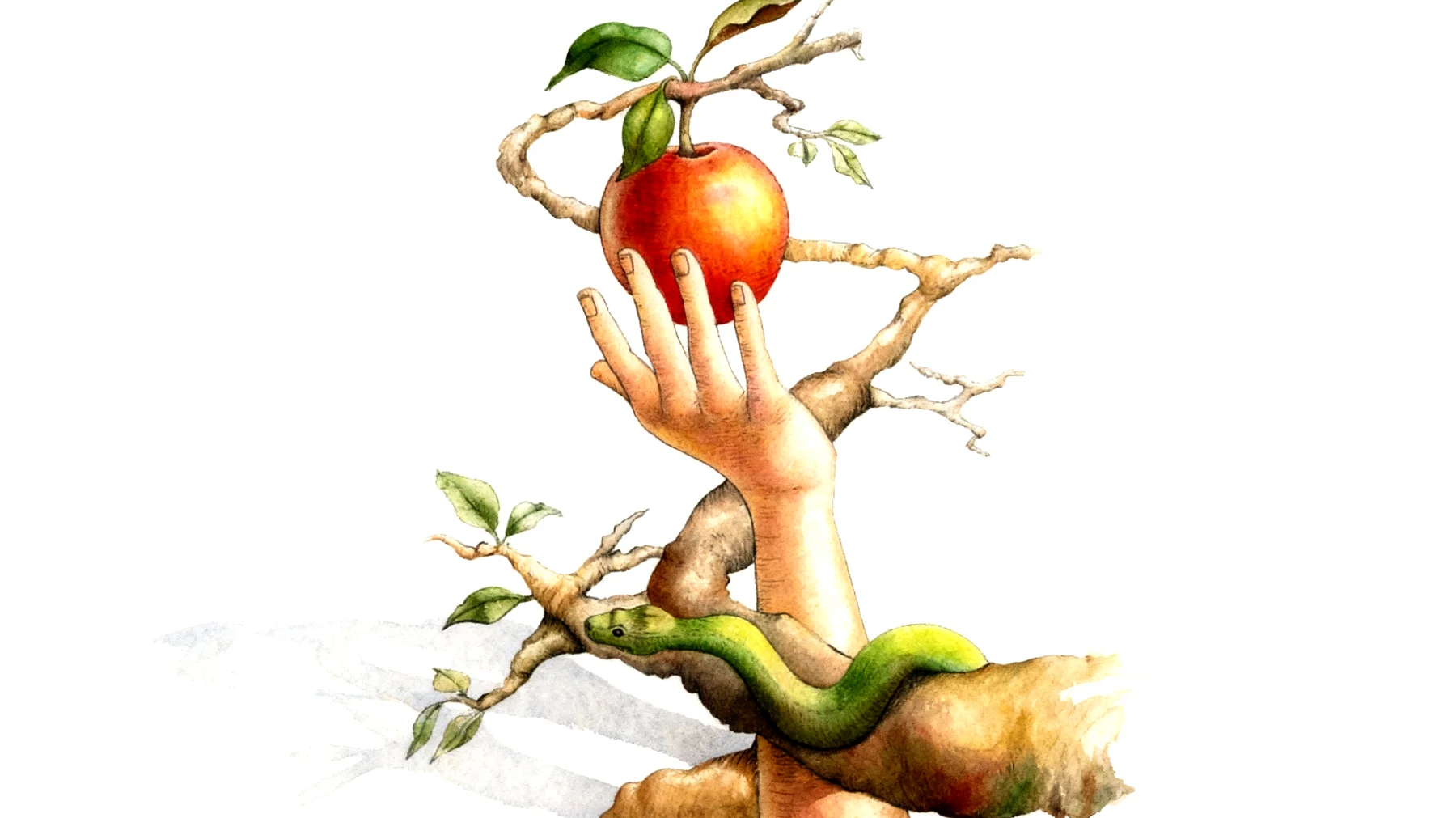 Forbidden Fruit2026-01-14T13:00:19.866Z"